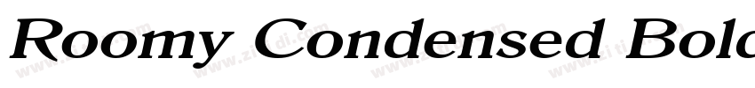 Roomy Condensed Bold字体转换 Roomy Condensed Bold字体转换